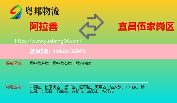 阿拉善盟到伍家岗区物流