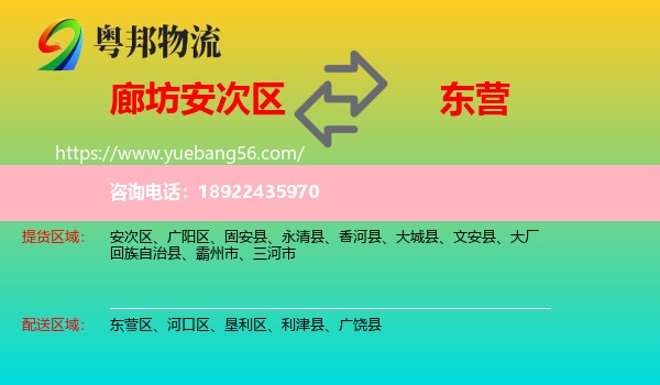 安次区到东营物流