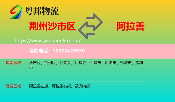 沙市区到阿拉善盟物流