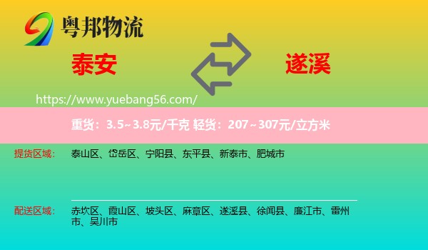 泰安到遂溪县物流