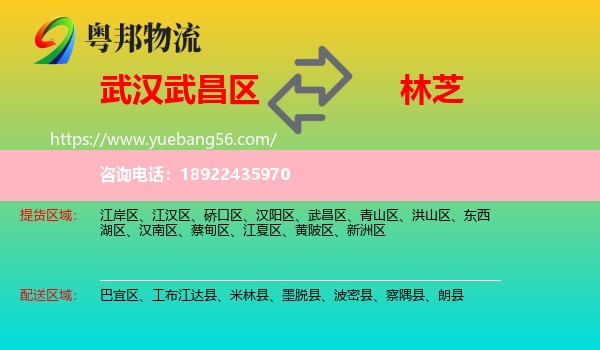 武昌区到林芝物流