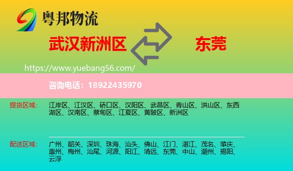 新洲区到东莞物流