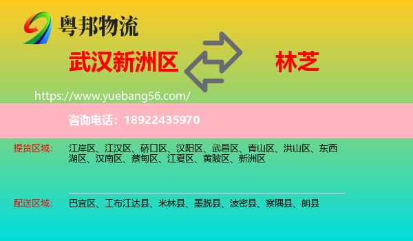 新洲区到林芝物流