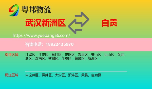 新洲区到自贡物流