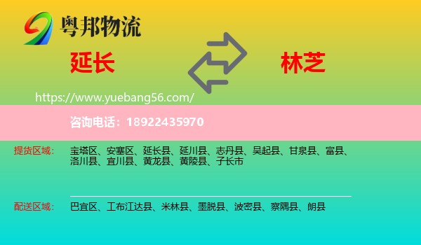 延长县到林芝物流