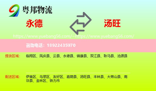 永德县到汤旺县物流